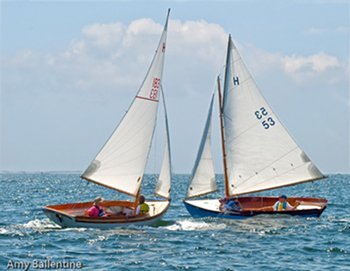 Doughdish sailboats