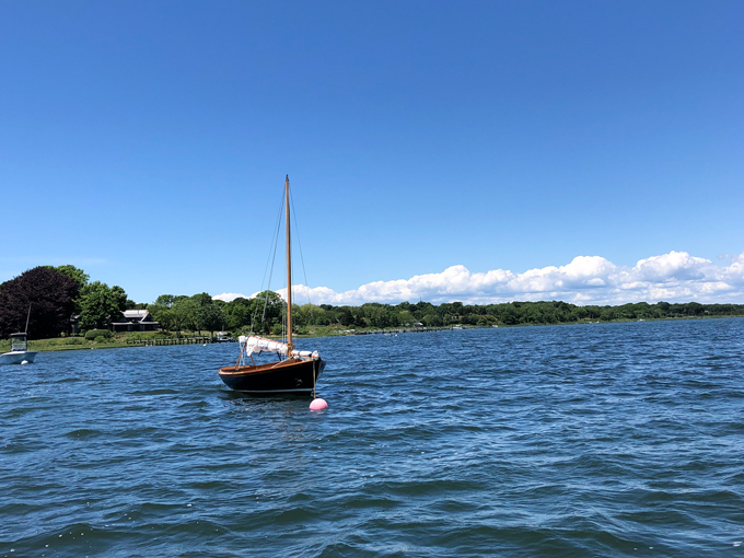 Doughdish 544 - STELLINA