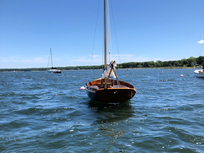 Doughdish 544 - STELLINA